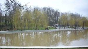 Ще почистват калните наноси в езерото в парка