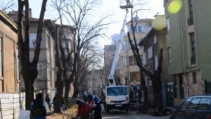 Започна санитарна резитба в центъра