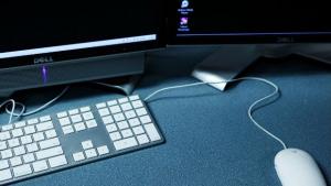 Известни са победителите в Областния кръг на Олимпиадата по информационни