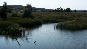 Долни чифлик ще развива екотуризъм в девет защитени територии