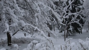Отменят бедственото положение в Лъки