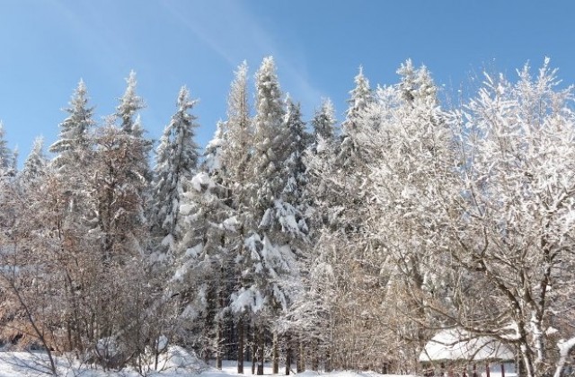 Условията на Узана са отлични за провеждане на кръг от първенството по ориентиране