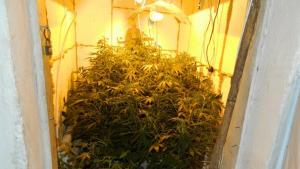 Откриха 2 нарколаборатории в монтанско