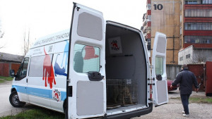 Четири лапи продължават кампанията във Видин