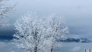 Времето на 14 март Облачно с валежи от дъжд и