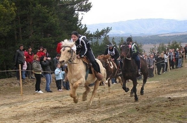Организират конен турнир и кушия  в Генерал Тошево