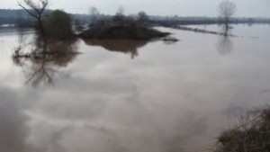 Кметът на Велико Търново разпореди да се следят нивата на