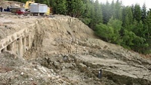 Срути се стара подпорна стена на пътя за ловешкия парк