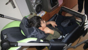 Събуждане за нов живот