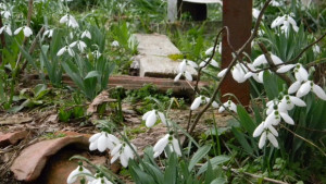 Слънчев вторник след това застудява