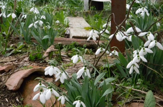 Слънчев вторник, след това застудява