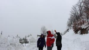 Заради снега бизнесът понесе сериозни загуби