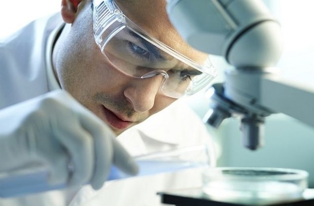 Учени търсят антибиотици в конски тор