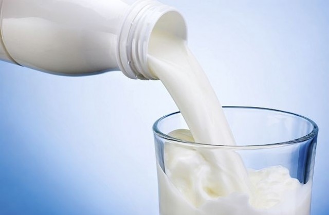Изкупната цена на млякото е под себестойността