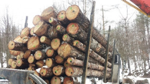 ДГС Габрово стана част от Електронната информационна система за проследяване