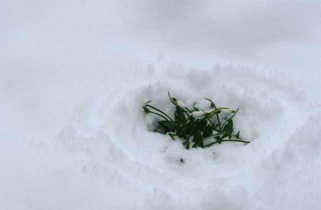 Облачно с превалявания от дъжд и сняг