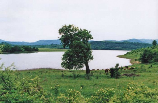 Ученици ще отбележат Световния ден на водата в екоинспекцията