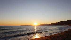 Рибаскачач лови плячка с воден език