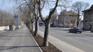 Велоалеите ще стават мрежа