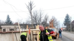 Община Севлиево засажда нови 200 дръвчета в града