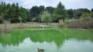 Правят организирани посещения на ученици в зоопарка