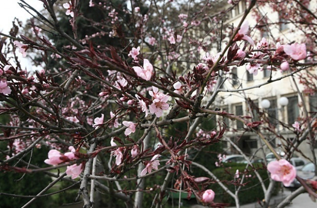 Настъпва астрономическата пролет