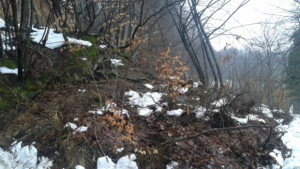 Свлачището по пътя Севлиево Априлци е разчистено пуснаха движението