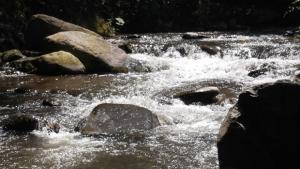 Световен ден на водата