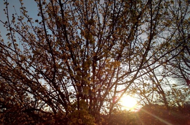 Топло пролетно време днес