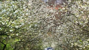 Днес отбелязваме Световния ден на метеорологията