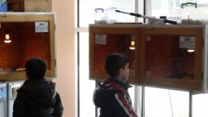 Екзотични животни гостуват в Асеновград