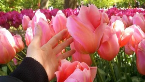 Поетична вечер Пролетни гласове