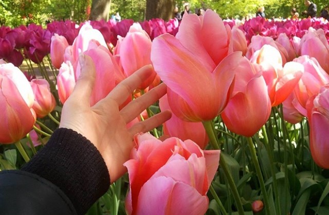 Поетична вечер „Пролетни гласове