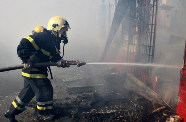 Гълъби изгоряха в пожар