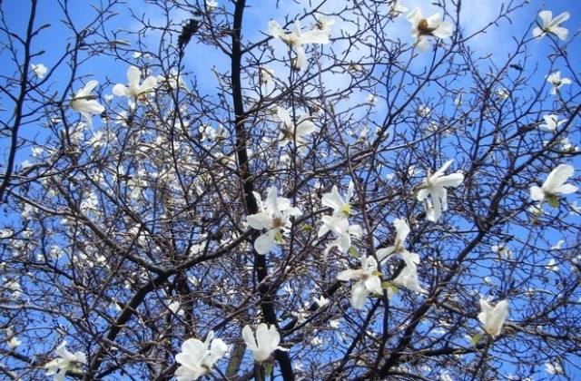 Пролетта идва, но времето през следващите уикенди няма да топли