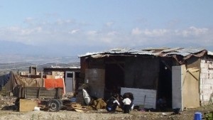 Жълтата гостенка тревожи Петрич
