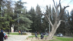 Дискутираха бъдещето на Аязмото в Стара Загора