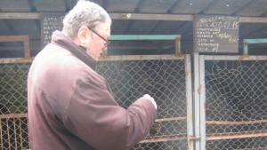 Бездомните кучета в Дупница се евтаназират само ако са агресивни