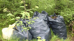 Започва пролетното почистване на Добрич