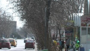 Временно е разрешено спирането на превозни средства в района на