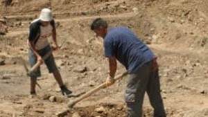 Стартират регионалните програми за заетост в Добричка област