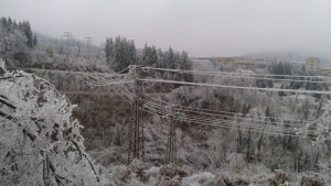 ЕСО разширява просеките около електропроводите