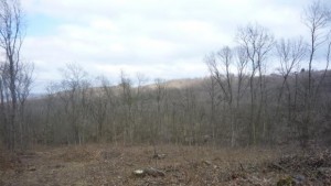 Протест и поход бранят горите край Аспарухово