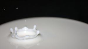 НАП продава прясно мляко