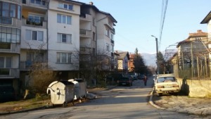 Отровиха три домашни кучета в Кюстендил