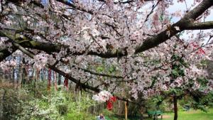 През април ще се редуват слънце и дъжд