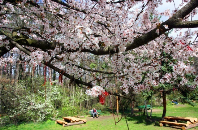 През април ще се редуват слънце и дъжд