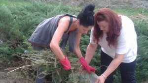 Млади социалисти възстановяват стари паметници