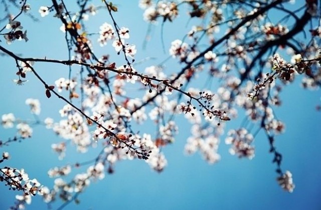 Чака ни хладна пролет поне до 15 април