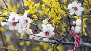 Чака ни хладна пролет поне до 15 април